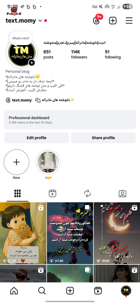 Buy Instagram Page and Telegram Channel | Buy and Sell Social Networks Account For Sale